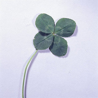 Does Luck Play in to Choosing Stocks?