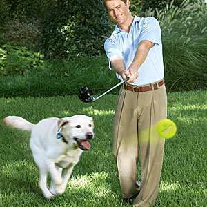 New Year of Gifts: Doggie Driver
