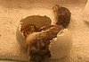 Guess What's Hatching?