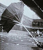 North Weathers the Big Storm