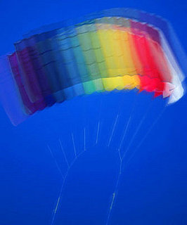 Friday Mythbuster: What Colors Do Doggies See?