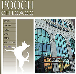 Out and About: Illinois' Spaw