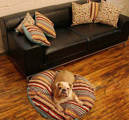 Pampered Pals: Vitamin D(esign)