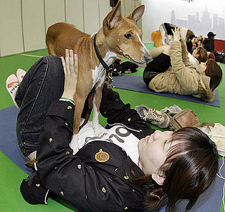 Workin' It Out at the New Year Dog Party Dog Yoga Event