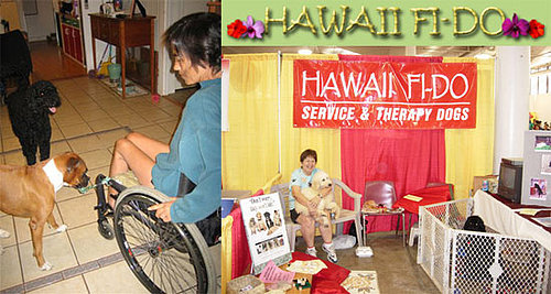 Out and About: Hawaii's Hawaii Fi-Do