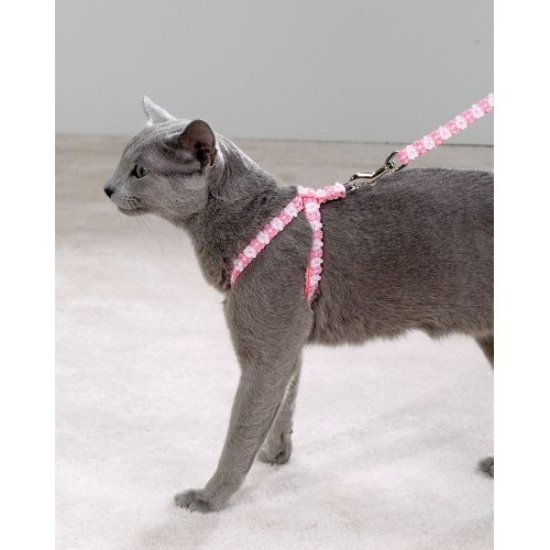 To the Rescue: Leashes Aren't Just for the Dogs
