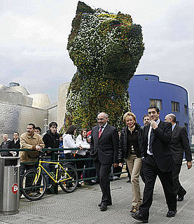 Gigantic Puppy in Bloom Now!
