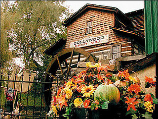 Out and About: Tennessee's Doggywood