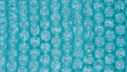 Did Your Pet Appreciate Bubble Wrap?