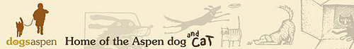 Out and About: Colorado's Aspen Animal Shelter