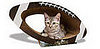 Pampered Pals: Super Bowl Scratcher