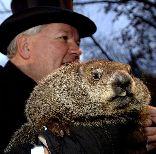 Pleased by Punxsutawney Phil's Prediction?