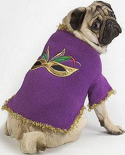 Pampered Pals: Celebrate Mardi Gras With Pooches