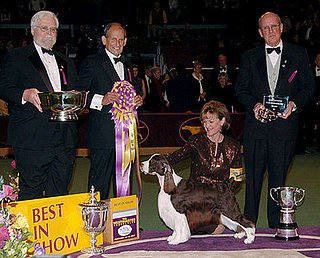 Westminster Dog Show