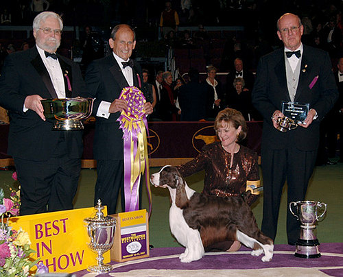 Westminster Dog Show