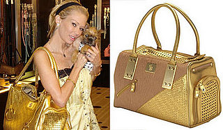 Found! Jenna Jameson's Chrome Bones