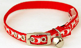 PetMarking Mission Completed: Crazy for Red