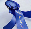 2008 Westminster Winner: Best in Show!