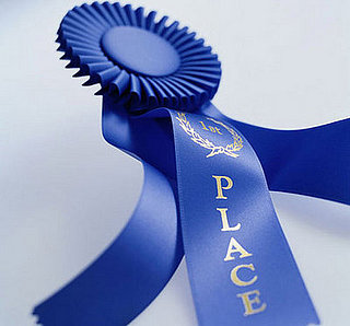 2008 Westminster Winner: Best in Show!