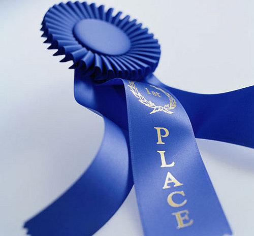 2008 Westminster Winner: Best in Show!