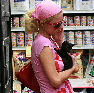 Hottie "Nottie" Good Kitty Owner?