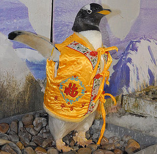 Globetrotters: Penguins Celebrate Chinese New Year, Too!