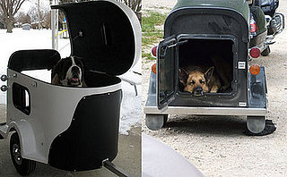 Tote a Dog With a Hog?