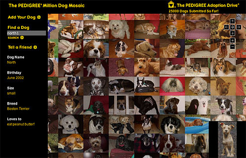 Million Dog Mosaic