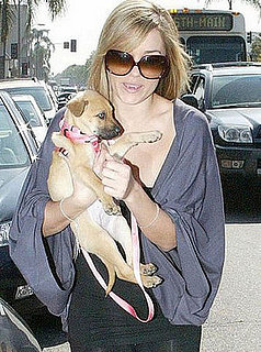 New Puppy Alert! Lauren Conrad