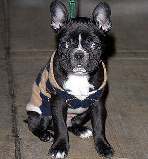 Christina Ricci and Ramon Are Preppy Twinsies!