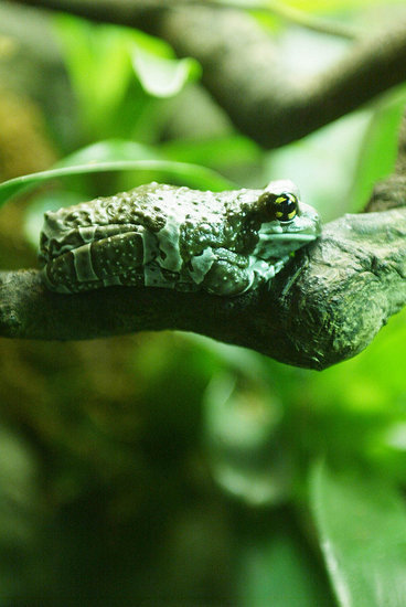 Taking a Camo Break Taking a Camo Break