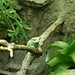 Hopper in a Branch