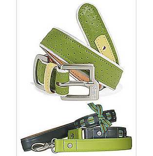 Online Sale Alert! Canini's Anything Green Sale