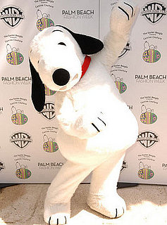 In the Spotlight: Easter Beagle Presents Canine Couture