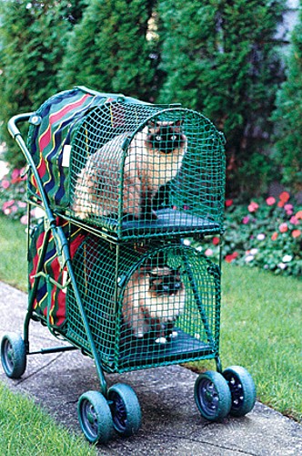 Double Decker KittyWalk Pet Stroller: Spoiled Sweet or Spoiled Rotten?