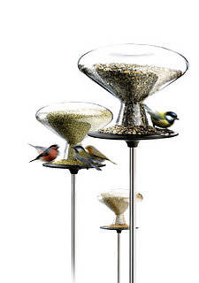 Feed the Birds: Bird Table and Millet
