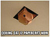 In the LINK of an Eye!