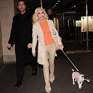 Donatella Versace's Pup Is Pretty in Pink, Is Yours?