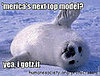 Sillify Some Adoro Seals With LOLspeak! 