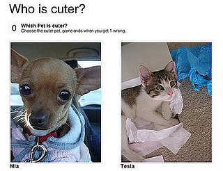 My Favorite Little Cutie?