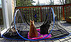 Feline Funhouse: Spoiled Sweet or Spoiled Rotten?