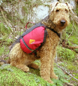 Get in Gear: Kelty Dog Pack for Hiking