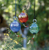 Feed the Birds: Dew Drop Feeder and Nectar