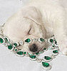 ASPCA and Chopard Team Up With Diamond Paws