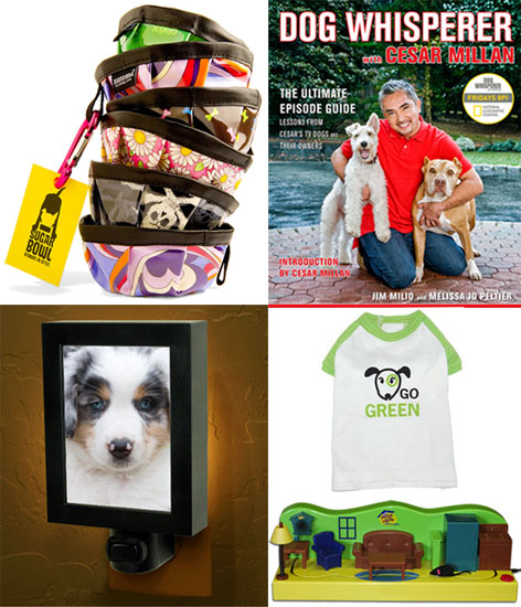 Pet's April Must Haves Pet's April Must Haves
