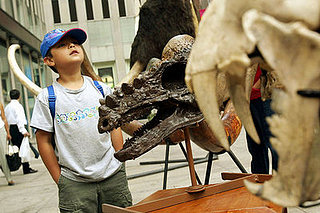 Fifth Grader Fixes the Smithsonian