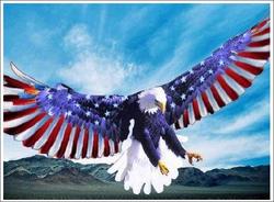 US Military Brings Freedom to the Blogosphere