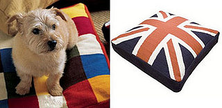 Sugar Shout Out: Pamper Your Pet