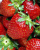 Lil Tip: Strawberries Are Natural Way to Get Folate