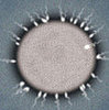 The Price of Infertility  